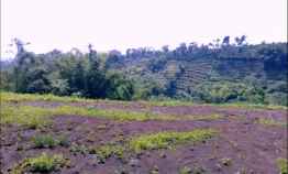 Tanah Dijual di Jl, Locari Precet Sumbersekar Dau Malang Jawa Timur Indonesia