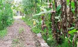 Tanah Cocok untuk Investasi Yogyakarta Bangunjiwo Kasihan Bantul