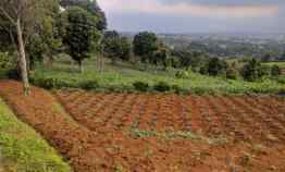 tanah jl raya gunung geulis