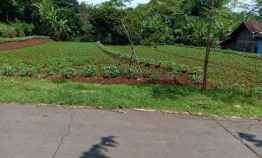 tanah jl raya kerjo sragen kerjo