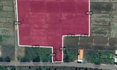 Tanah Zona Industri Brebes Lokasi Ketanggungan