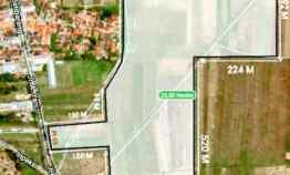 Tanah Zona Industri Brebes Lokasi Ketanggungan