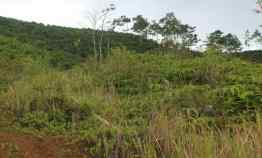 Tanah Dijual di jln raya desa taraju kecamatan taraju kabupaten tasikmalaya