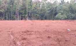 Tanah Dijual di Kalinongko Loano Purworejo