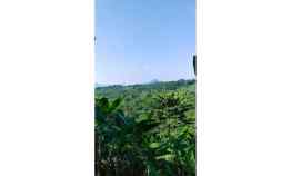 Dijual Tanah Luas 70 Hektar di Cariu Kabupaten Bogor Ag1930