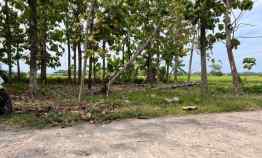 tanah karangmalang sragen