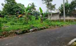 tanah karangpandan karanganyar