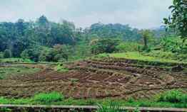 Jual Tanah Cocok untuk Villa Karangpandan Karanganyar