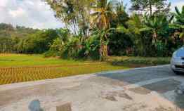 tanah karangpandan karanganyar