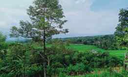 Tanah Bonus Pohon Durian Cocok Dibangun Villa Karangpandan Karanganyar