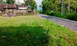 tanah karangpandan karanganyar