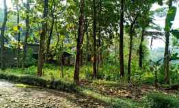 tanah karangpandan karanganyar