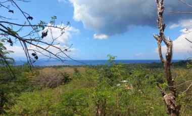 tanah kavling cocok untuk resort di nusa penida bali