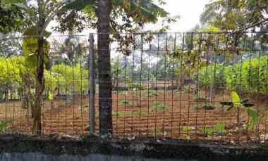 Tanah Kavling di Megamendung Puncak 1.065 M 3.453 M
