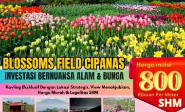 tanah kavling investasi di sukaresmi cianjur