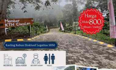 Tanah Kavling Kebun di Sukaresmi Cianjur