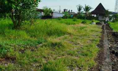 tanah kavling premium pandak braban tabanan bali