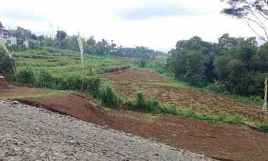 tanah kavling puncak ciawi bogor