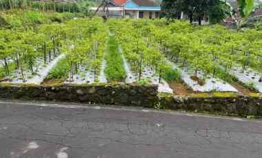 tanah kawasan wisata 400m2 kemuning karanganyar