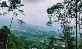 tanah kawasan wisata alam