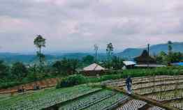 tanah kawasan wisata alam