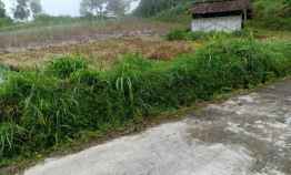 tanah kawasan wisata kemuning