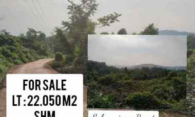 Tanah Kebun, Akses Jalan Cor, Dawuan Subang