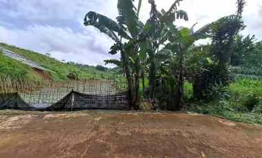 tanah kebun aktif desa sukaresmi cianjur