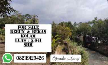 tanah kebun bekas kolam dekat sungai subang jawa barat