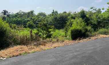 tanah kebun buah 2020m kedawung sragen