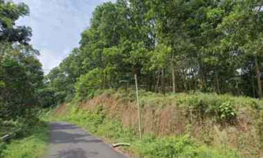 tanah kebun darat view bagus cisalak subang