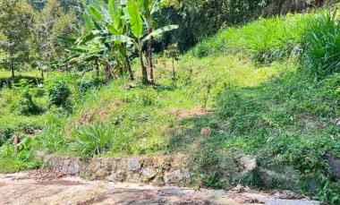 tanah kebun durian 65jt 500m ngargoyoso karanganyar