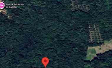 tanah kebun huma berkebun