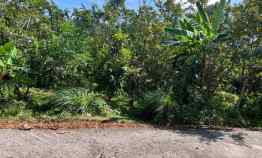 Tanah Kebun Jambu 1000m 200Jt Ngargoyoso Karanganyar