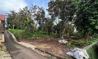 Tanah Kebun Kota Bogor Kayu Manis Tanah Sareal