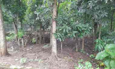 tanah kebun rata dan strategis