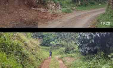 tanah kebun serang panjang subang jawa barat