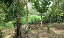 Tanah Kebun View Sawah dan Gunung di Tabanan Bali