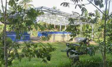 Tanah Dijual di Selemadeg Timur, Tabanan, Bali