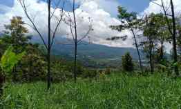 tanah kemuning ngargoyoso