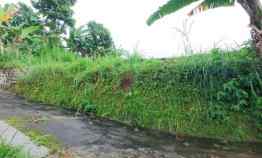 tanah kemuning ngargoyoso