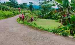 tanah kemuning ngargoyoso