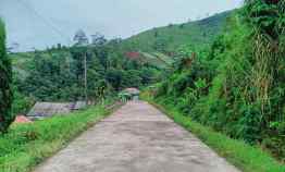 tanah kemuning ngargoyoso