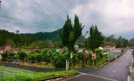 tanah kemuning ngargoyoso