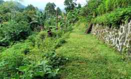 tanah kemuning ngargoyoso