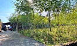 tanah kemuning ngargoyoso