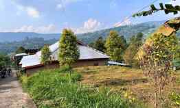 tanah kemuning ngargoyoso