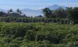 Tanah Dijual Murah di Kecana Bogor