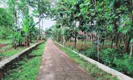 tanah kerjo karanganyar