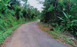 tanah kerjo karanganyar